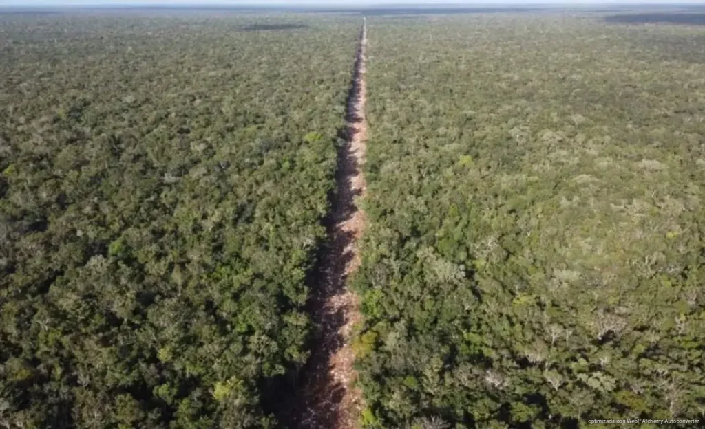 Promueven amparo contra camino en selva de Tulum por riesgo ambiental