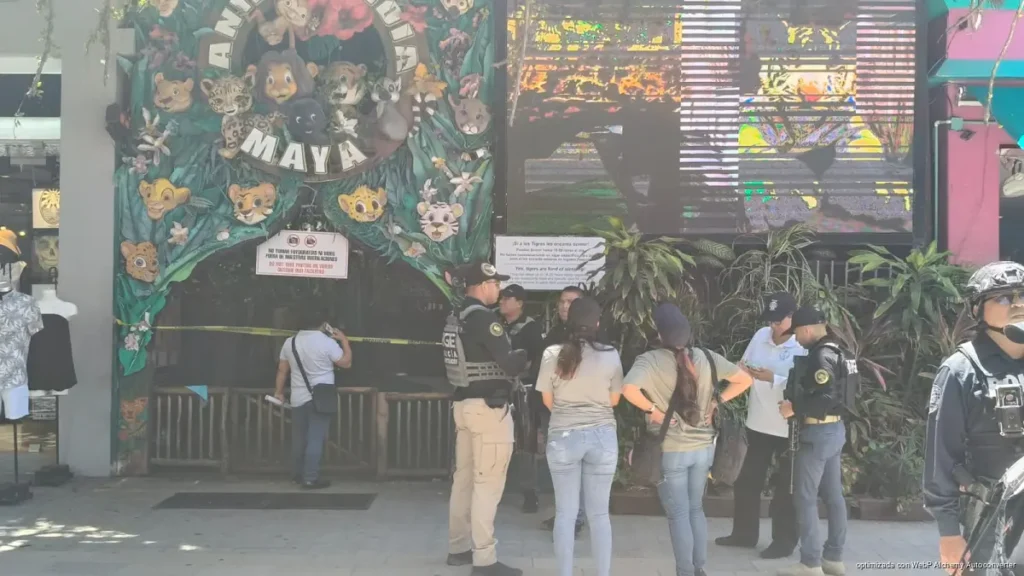 CASO ANIMALANDIA MAYA || Prisión preventiva a cinco hombres por maltrato de fauna exótica en Playa del Carmen