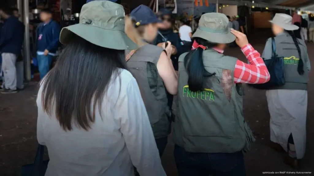 Refuerzan operativos contra tráfico ilegal de fauna en Quintana Roo Refuerzan operativos contra tráfico ilegal de fauna en Quintana Roo