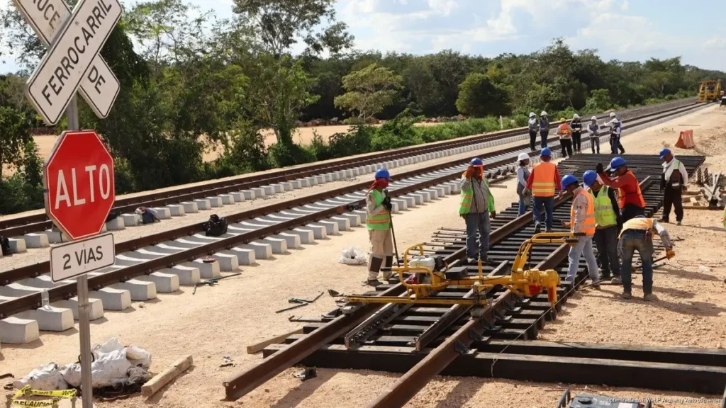 Ambientalistas advierten daños irreversibles por obras del Tren Maya