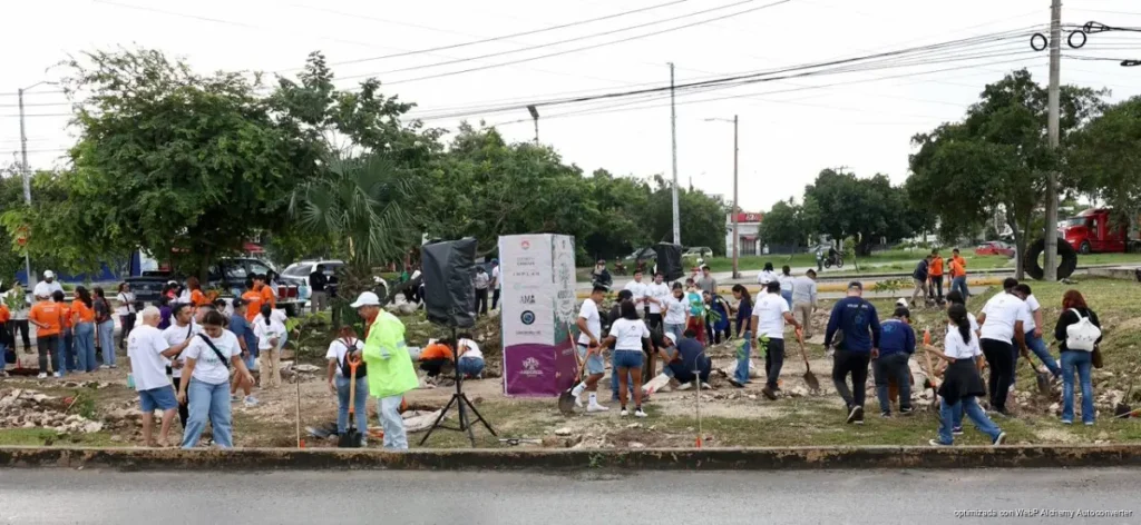 Avanza programa “Arboriza Cancún” con casi 3 mil árboles sembrados Avanza programa “Arboriza Cancún” con casi 3 mil árboles sembrados
