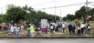 Avanza programa “Arboriza Cancún” con casi 3 mil árboles sembrados