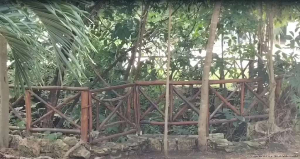 Nuevo reglamento obligará a propietarios a reportar cenotes en Playa del Carmen