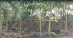 Nuevo reglamento obligará a propietarios a reportar cenotes en Playa del Carmen