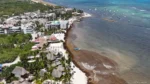 Piden internacionalizar atención al problema del sargazo en el Caribe