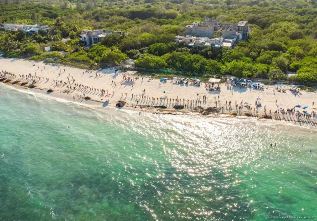 Retoman recolecta de firmas para proteger predio Chen Zubul en Playa del Carmen