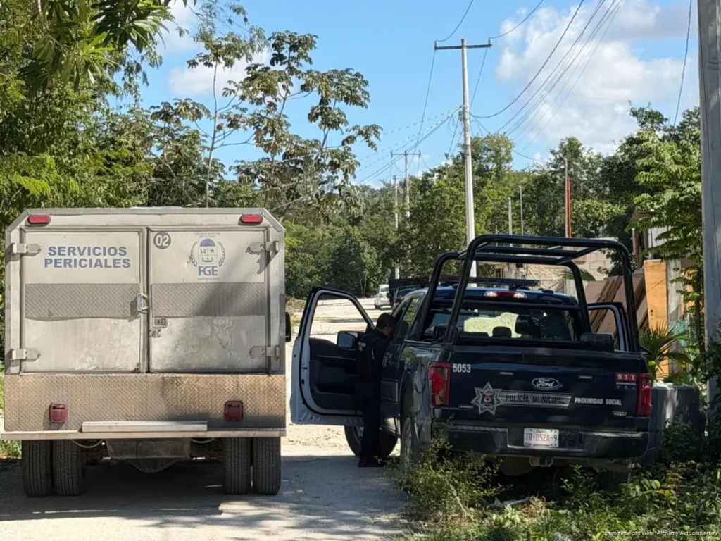 Hallan cuerpo en descomposición en área verde de Cancún