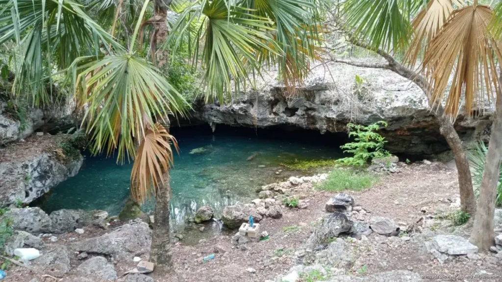 Alertan por uso de cenotes y cuevas urbanas como basureros clandestinos en Playa del Carmen Alertan por uso de cenotes y cuevas urbanas como basureros clandestinos en Playa del Carmen