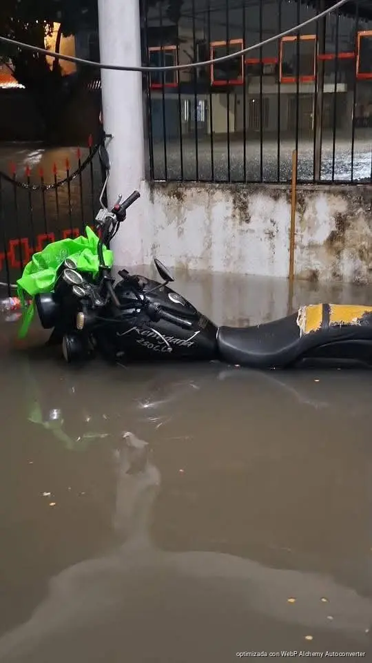 Colonias de Chetumal bajo el agua tras intensa madrugada de lluvia; vehículos varados, calles inundadas y árboles caídos tras fuerte temporal