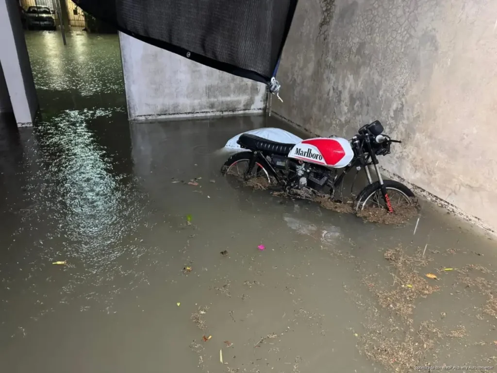 Colonias de Chetumal bajo el agua tras intensa madrugada de lluvia; vehículos varados, calles inundadas y árboles caídos tras fuerte temporal
