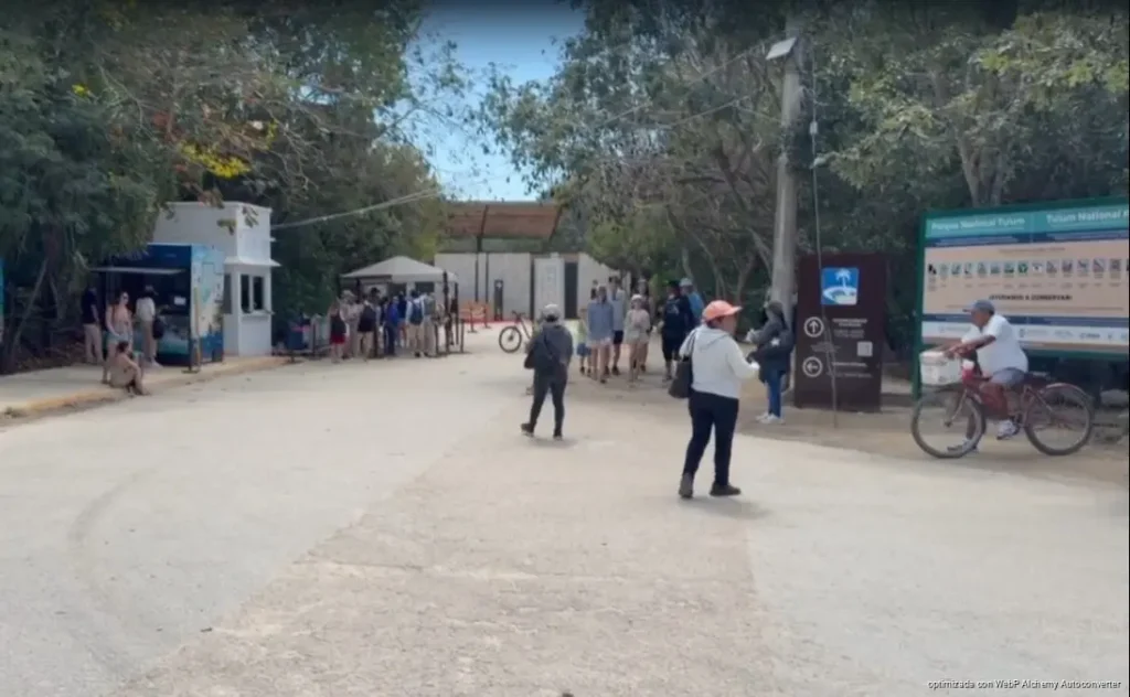 Instalan mesa permanente para mejorar operación y competitividad del Parque del Jaguar en Tulum Instalan mesa permanente para mejorar operación y competitividad del Parque del Jaguar en Tulum