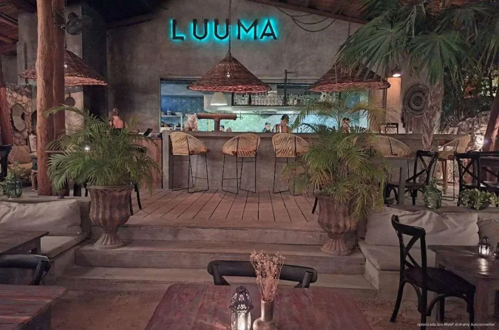 Restauranteros de Holbox confían en repunte turístico por temporada de tiburón ballena y llegada de flamencos Restauranteros de Holbox confían en repunte turístico por temporada de tiburón ballena y llegada de flamencos