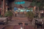 Restauranteros de Holbox confían en repunte turístico por temporada de tiburón ballena y llegada de flamencos