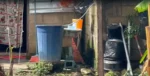 Asentamientos irregulares, principal foco de riesgo por dengue en Tulum