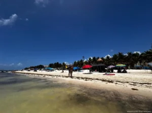 Arrecife de Puerto Morelos ayuda a reducir impacto del sargazo