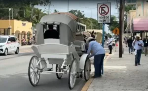 Caleceros denuncian competencia desleal y exigen que se haga cumplir la ley en Cozumel