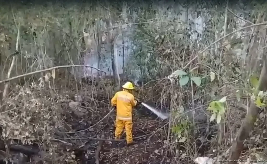 Atienden más de 120 incendios de maleza durante la temporada 2026 en Playa del Carmen Atienden más de 120 incendios de maleza durante la temporada 2026 en Playa del Carmen