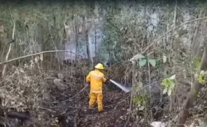 Atienden más de 120 incendios de maleza durante la temporada 2026 en Playa del Carmen Atienden más de 120 incendios de maleza durante la temporada 2026 en Playa del Carmen