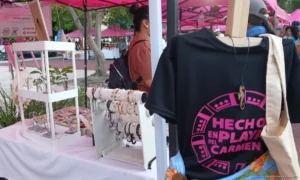 Refuerzan capacitación y autoempleo para emprendedores en Playa del Carmen