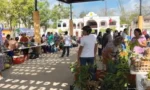 Productores de José María Morelos fortalecen agricultura orgánica con apoyo de Sembrando Vida y promueven cultivos sustentables.