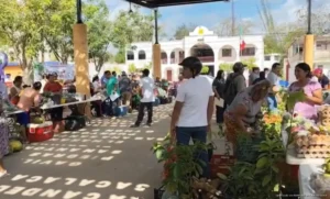 Productores de José María Morelos fortalecen agricultura orgánica con apoyo de Sembrando Vida y promueven cultivos sustentables.