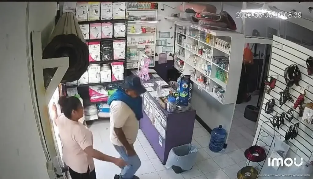 Captan en video violento robo a veterinaria en Cancún