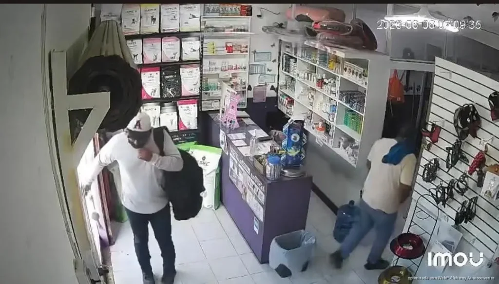 Captan en video violento robo a veterinaria en Cancún