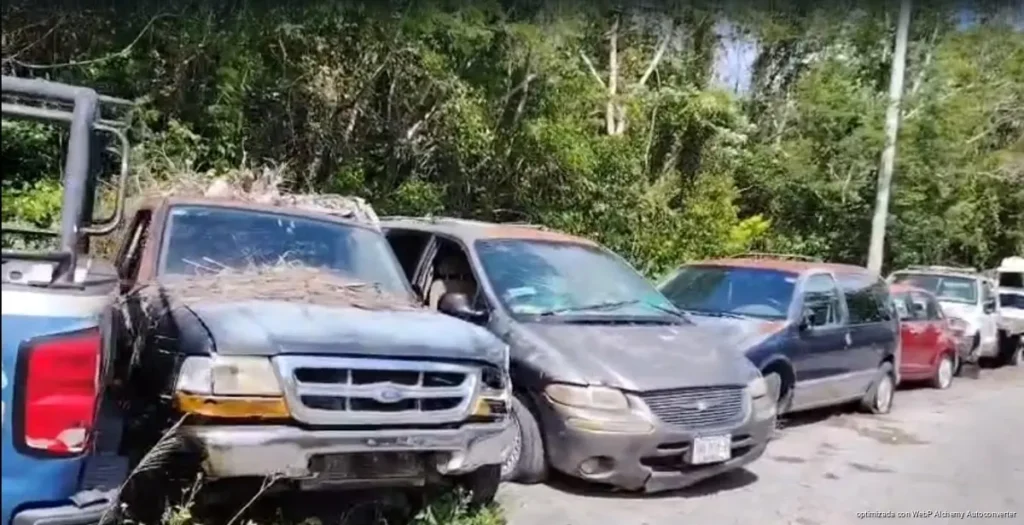 Analizan remate de vehículos abandonados para retirarlos definitivamente de Cozumel Analizan remate de vehículos abandonados para retirarlos definitivamente de Cozumel
