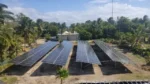 Buscan llevar paneles solares a productores rurales de Playa del Carmen