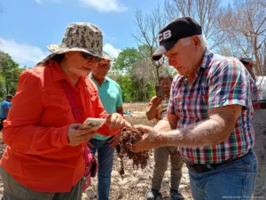 Ven potencial en el sargazo para fortalecer la economía local y el campo