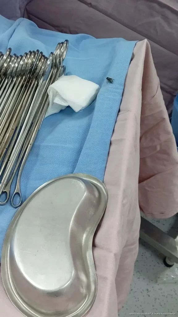 Piden investigar presunta plaga de moscas en quirófano del Hospital General de Playa del Carmen