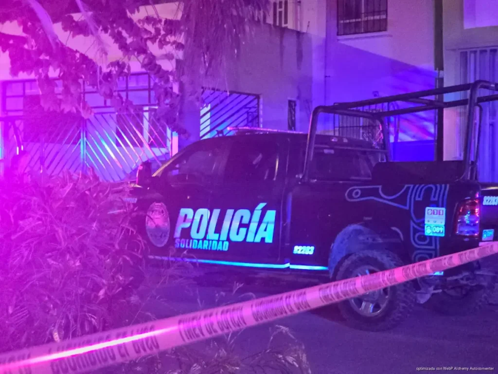 Hombre pierde la vida tras agresión en Palmas I