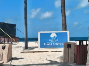Playas de Isla Mujeres lucen libres de sargazo
