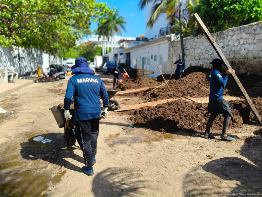 Exige hotelería plan permanente contra el sargazo en Playa del Carmen Exige hotelería plan permanente contra el sargazo en Playa del Carmen