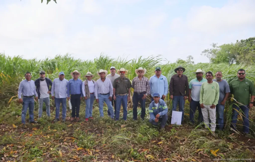 Fortalecen SEDARPE y CICY el campo quintanarroense con ciencia y soporte técnico directo en territorio