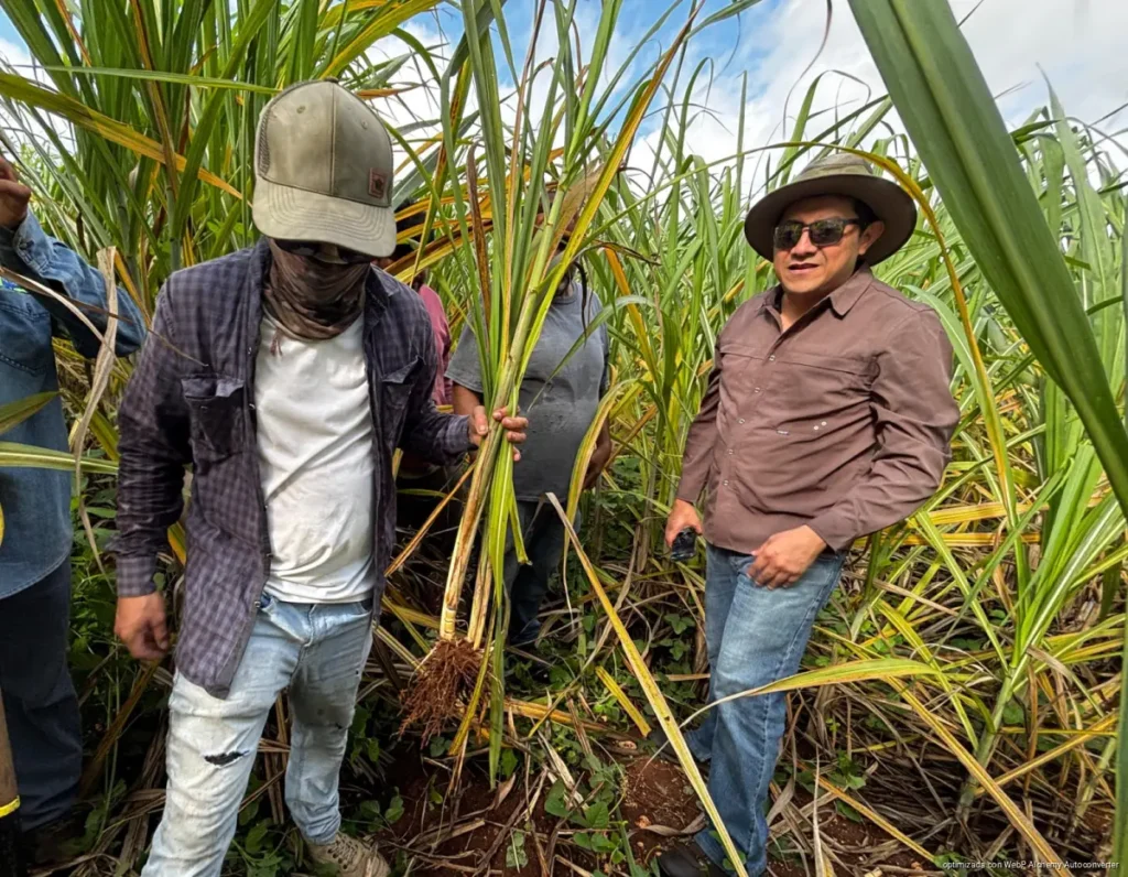 Fortalecen SEDARPE y CICY el campo quintanarroense con ciencia y soporte técnico directo en territorio