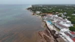 Empujan soluciones urgentes contra el sargazo en Playa del Carmen