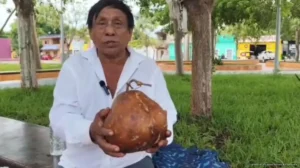 Rescatan campesinos el lek, joya ancestral de la cocina maya Rescatan campesinos el lek, joya ancestral de la cocina maya