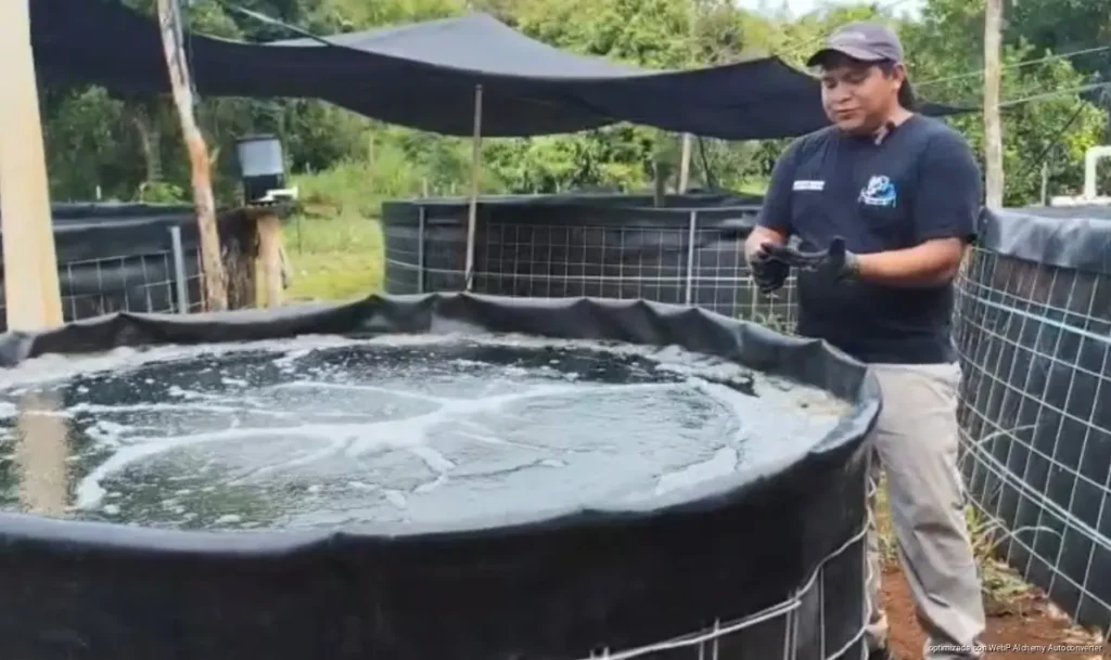 Convierte acuacultor pérdidas en proyecto sustentable en Dos Aguadas