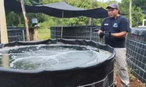 Convierte acuacultor pérdidas en proyecto sustentable en Dos Aguadas Convierte acuacultor pérdidas en proyecto sustentable en Dos Aguadas