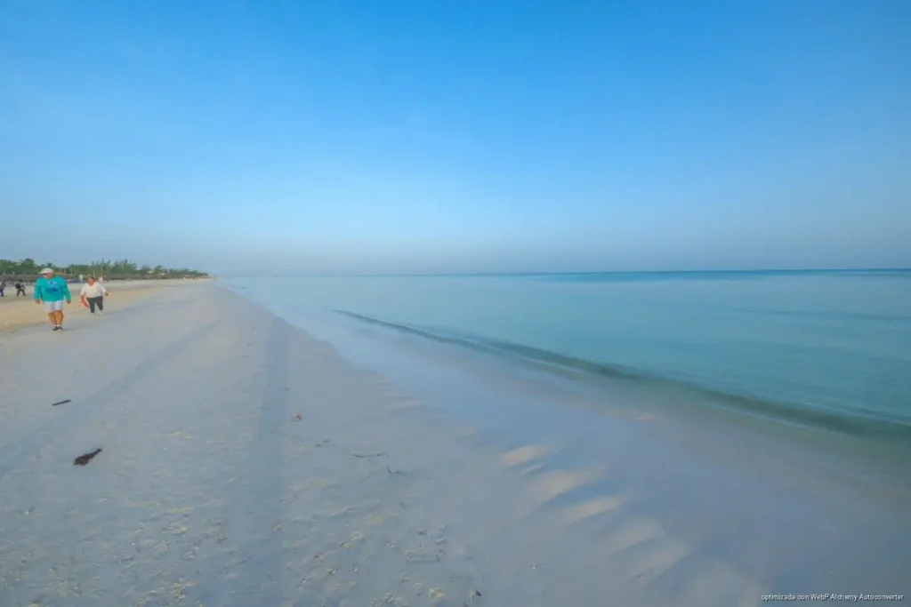 Presume Holbox playas limpias y libres de sargazo
