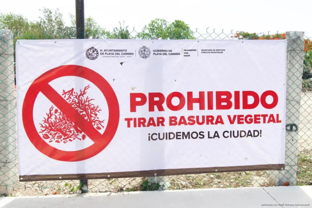 Estefanía Mercado inaugura el primer Centro de Acopio de Cacharros de Playa del Carmen, exclusivo para casa habitación