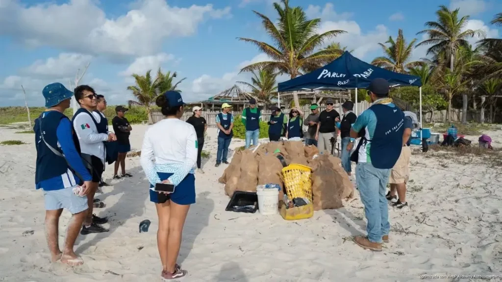 Impulsan turismo consciente con tercera edición de Cozumel Vivo