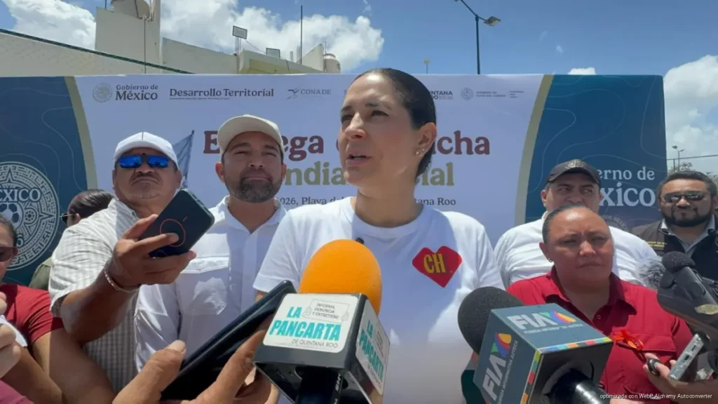 Preparan subsidios fiscales para empresas afectadas por sargazo en Playa del Carmen