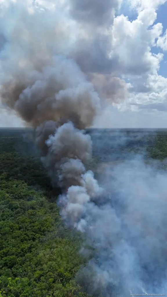 Atribuyen a mano del hombre incendio forestal en Uxuxubi