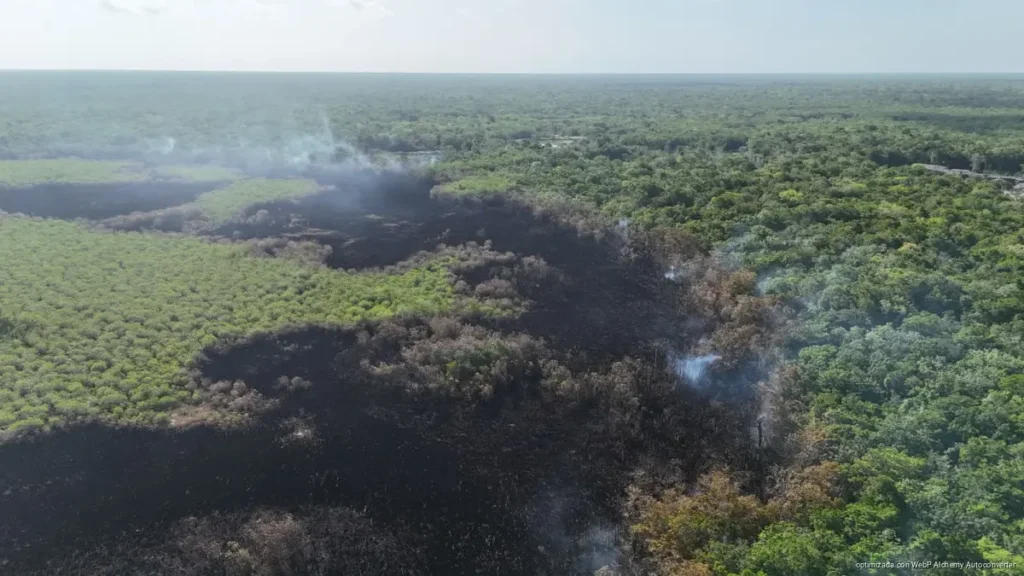 Atribuyen a mano del hombre incendio forestal en Uxuxubi