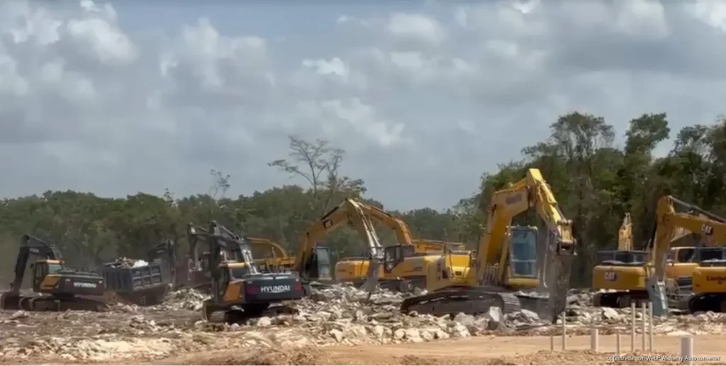 Urgen proteger arbolado ante crecimiento urbano de Playa del Carmen