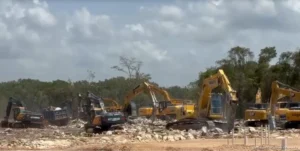 Urgen proteger arbolado ante crecimiento urbano de Playa del Carmen