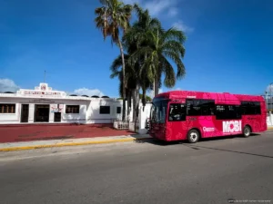 Inicia IMOVEQROO la credencialización de la Tarifa Social MOBI en Chetumal