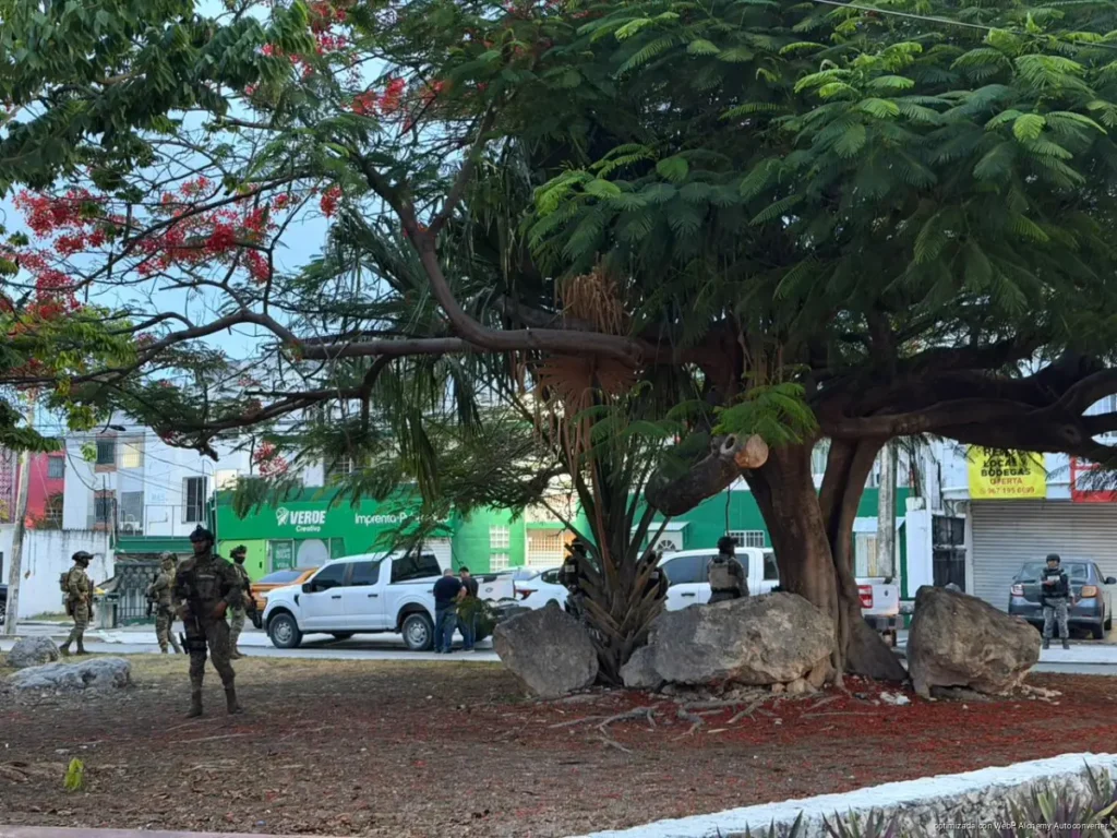 Catean departamento por presunto narcomenudeo en la Supermanzana 27 de Cancún